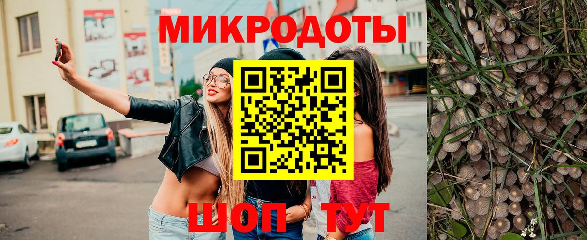 Галлюциногенные грибы Cubensis  Вход с VPN  Магадан 